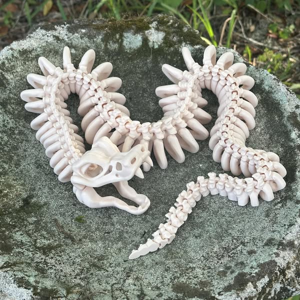 Articulated Skeleton Snake - 3D Printed