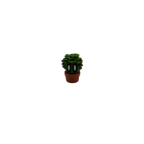 blob succulent Succulent Blob – Shop With the Lad