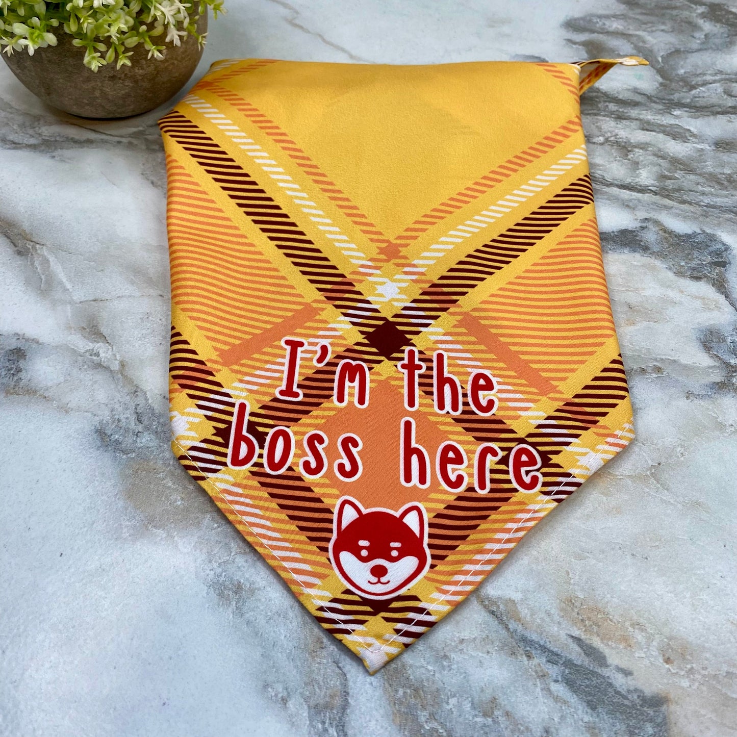 Dog Bandana - Sayings - The Boss