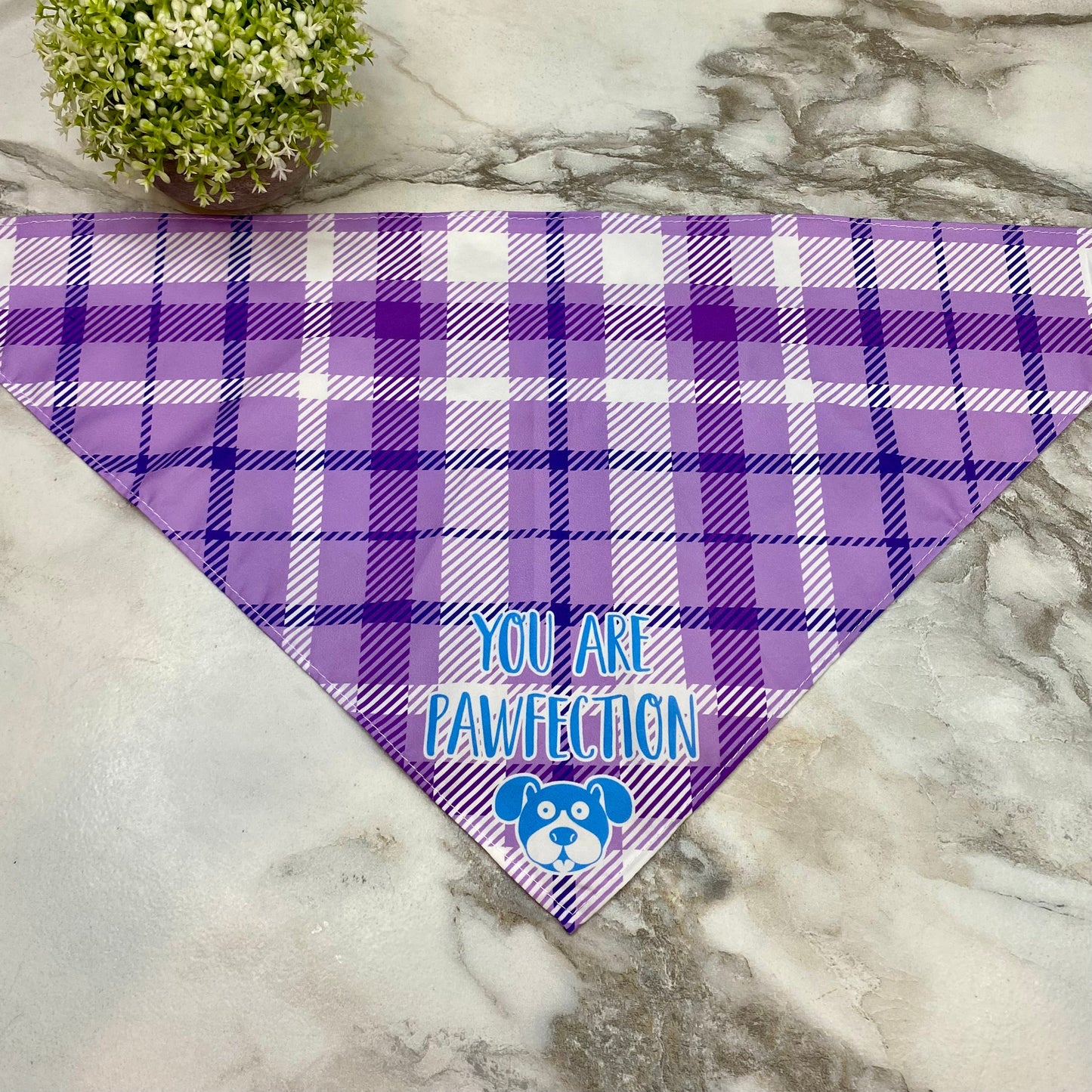 Dog Bandana - Sayings - Pawfection