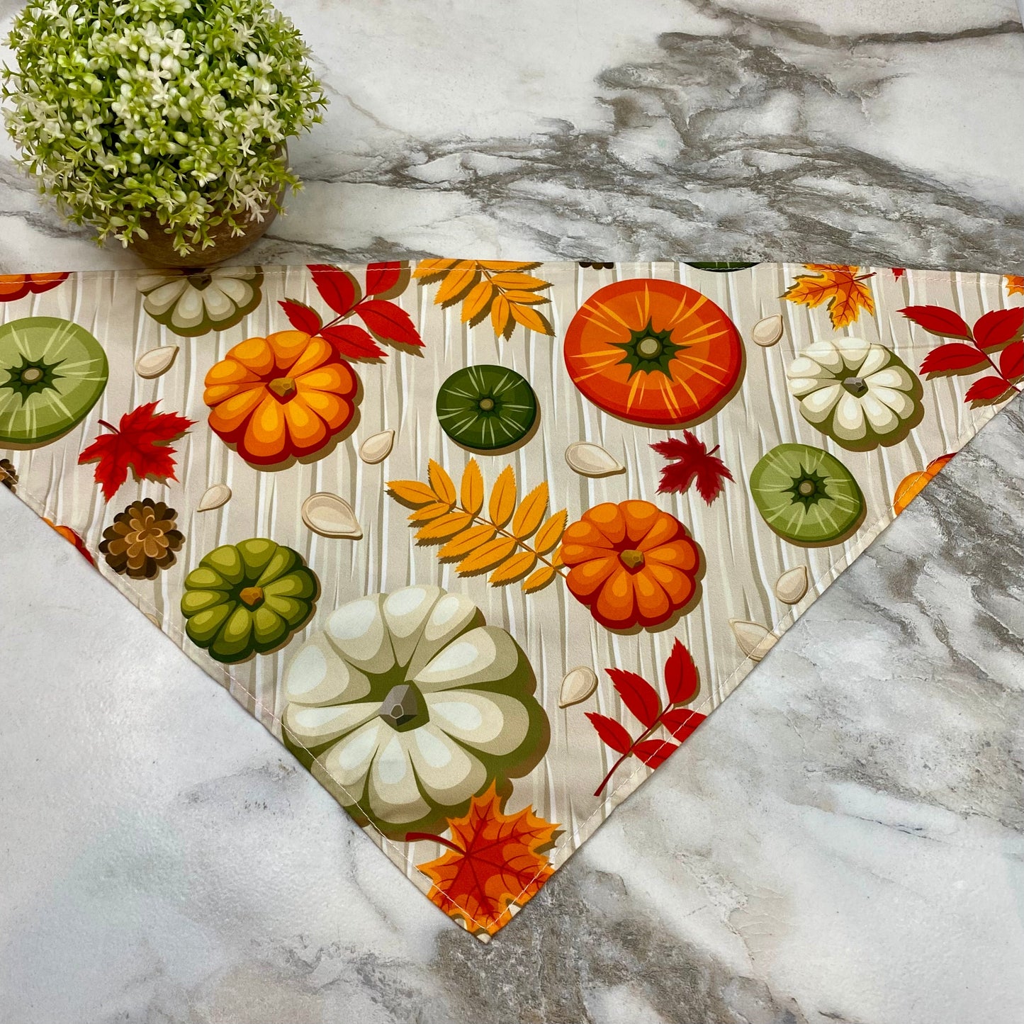 Dog Bandana - Fall - Pumpkins Seeds Leaves