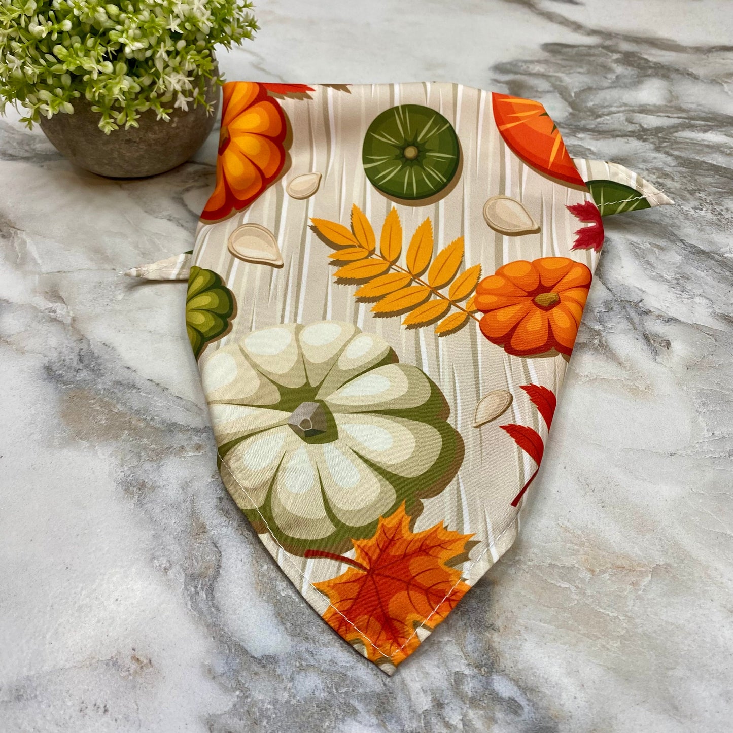 Dog Bandana - Fall - Pumpkins Seeds Leaves