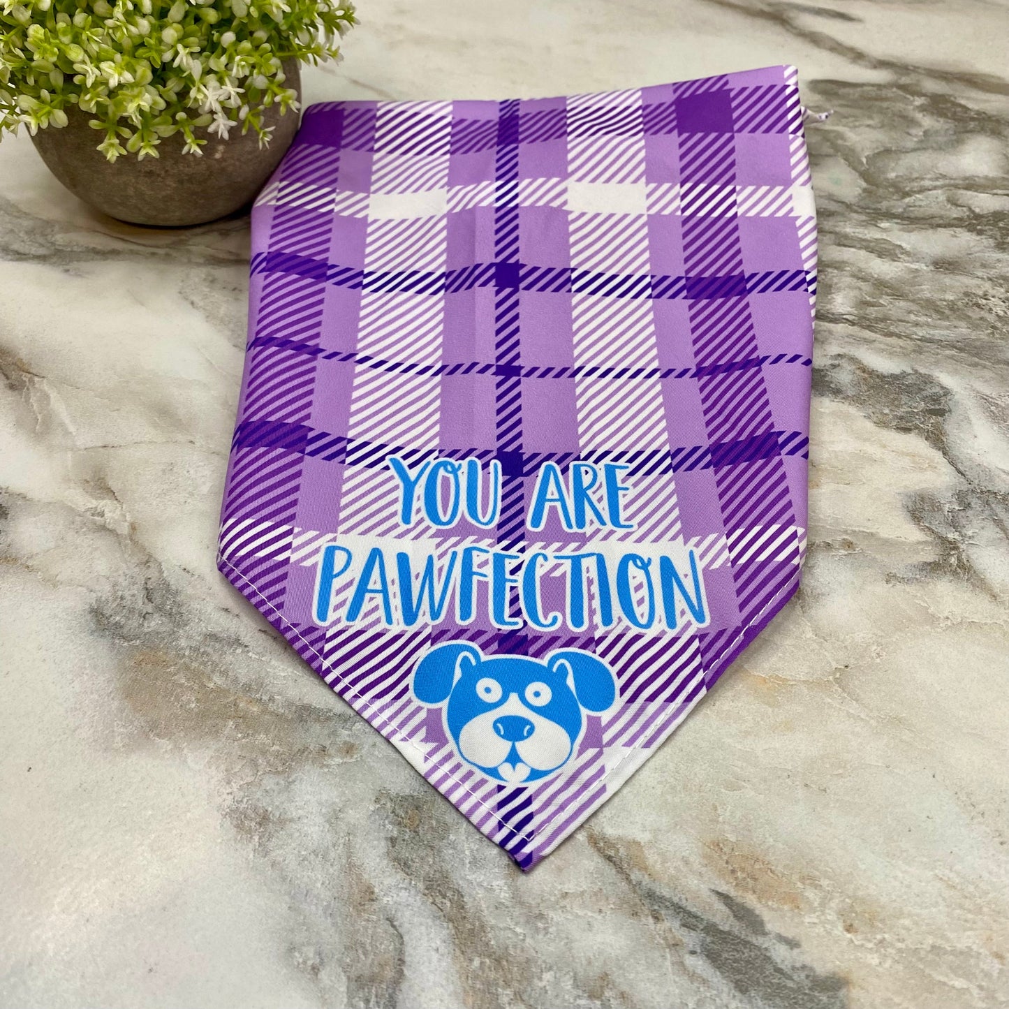 Dog Bandana - Sayings - Pawfection