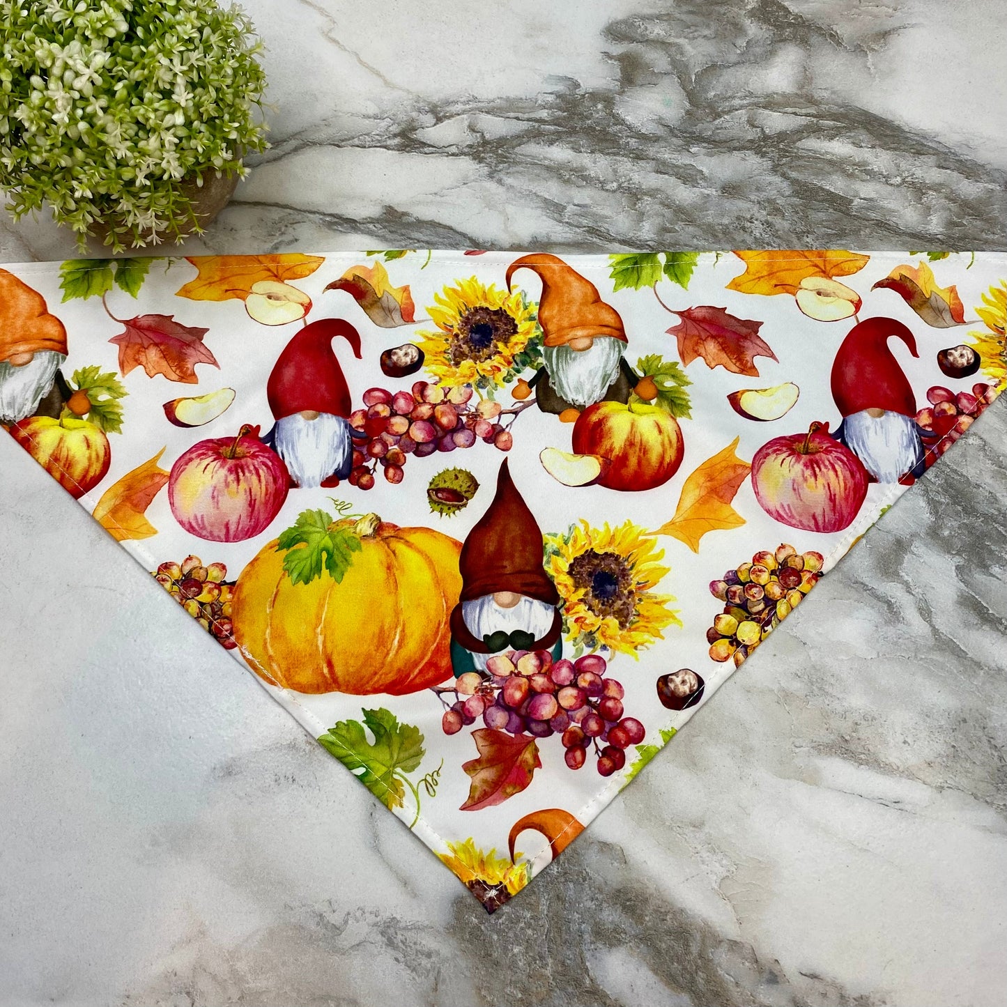 Dog Bandana - Fall - Gnome