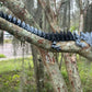 Large 3D Printed Articulated Dragon