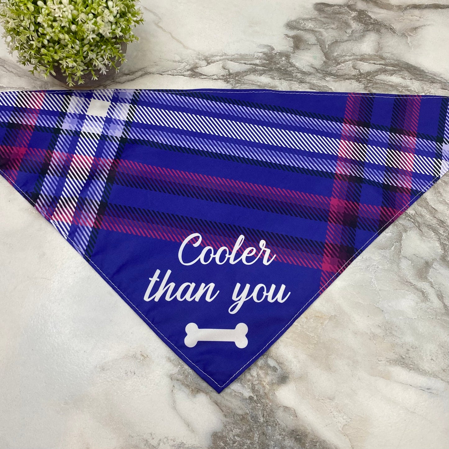 Dog Bandana - Sayings - Cooler Than You Bone