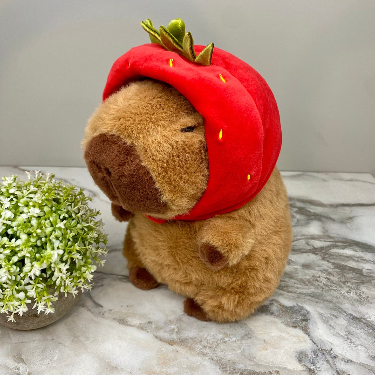 Plush Capy Strawberry