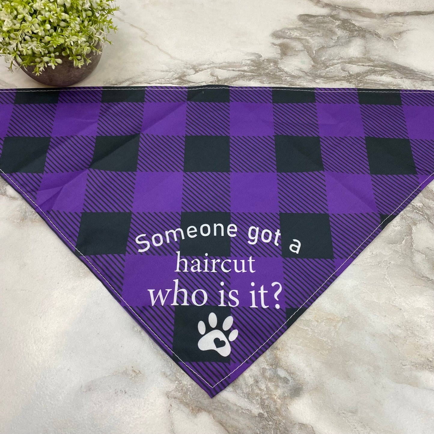 Dog Bandana - Sayings - Haircut