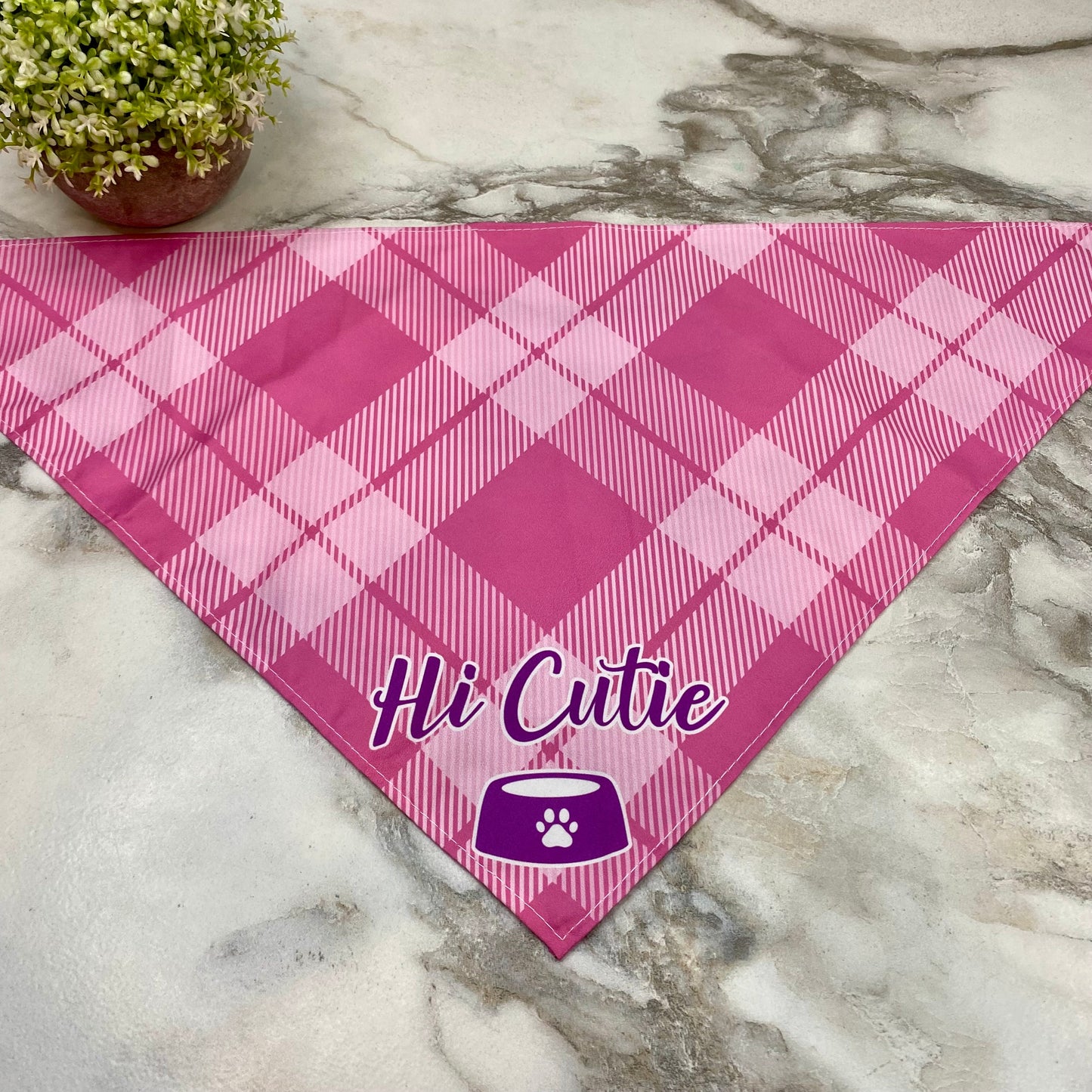 Dog Bandana - Sayings - Hi Cutie