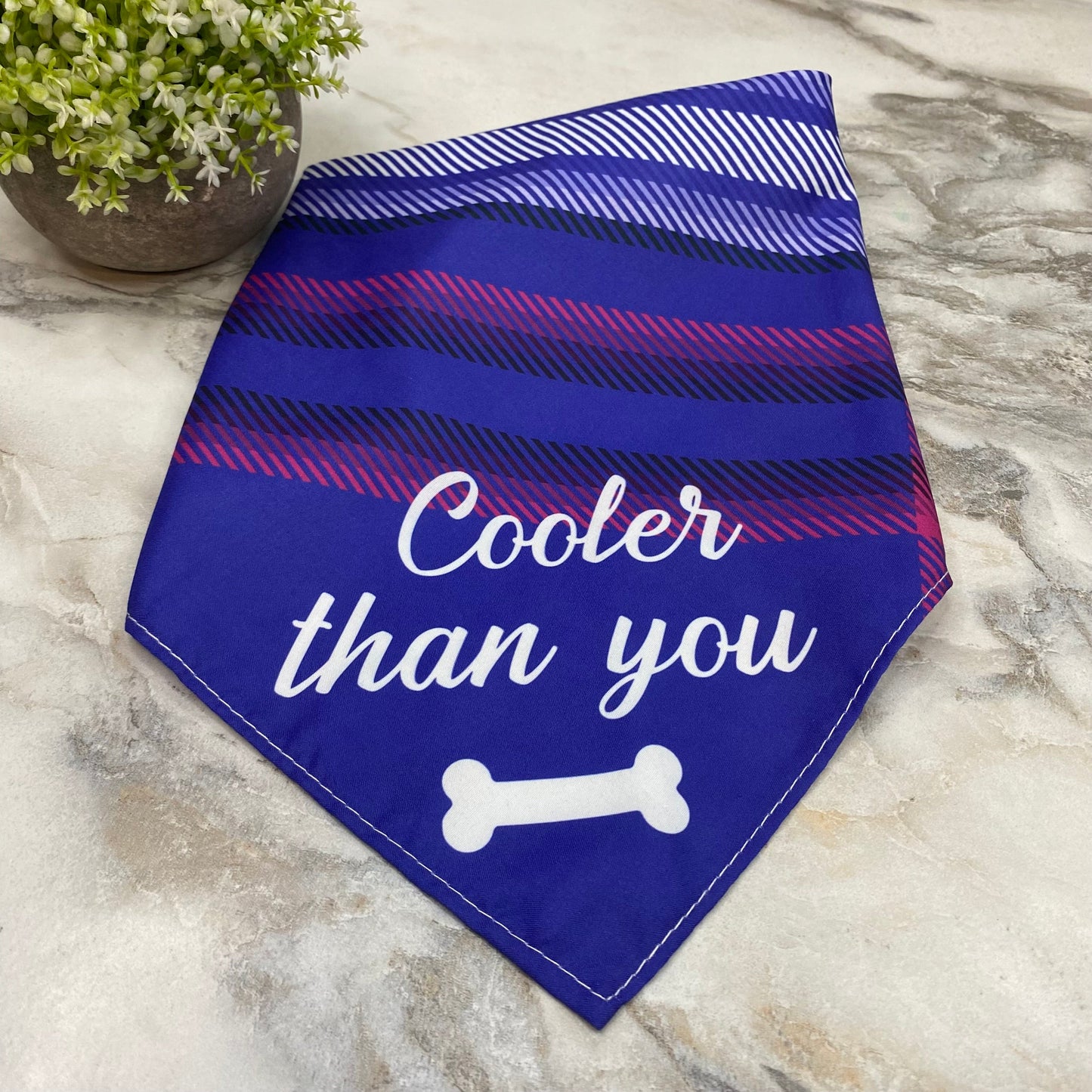 Dog Bandana - Sayings - Cooler Than You Bone