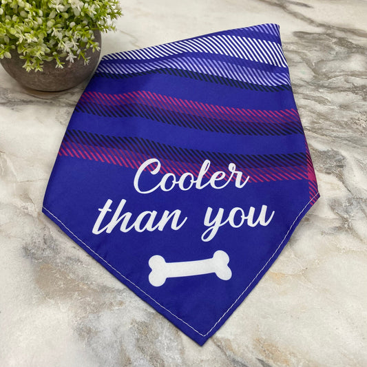 Dog Bandana - Sayings - Cooler Than You Bone