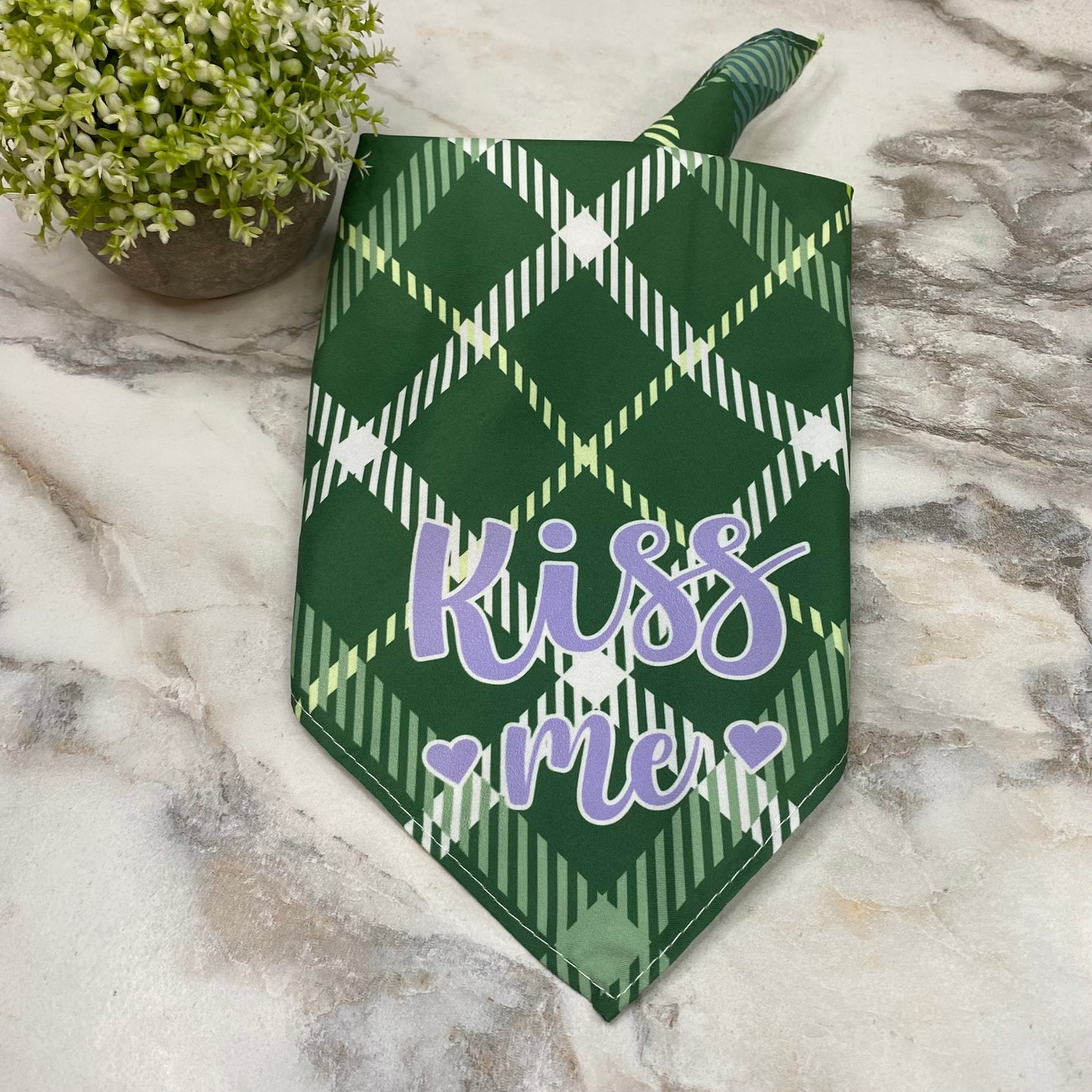 Dog Bandana - Sayings - Green Plaid Kiss