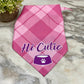 Dog Bandana - Sayings - Hi Cutie