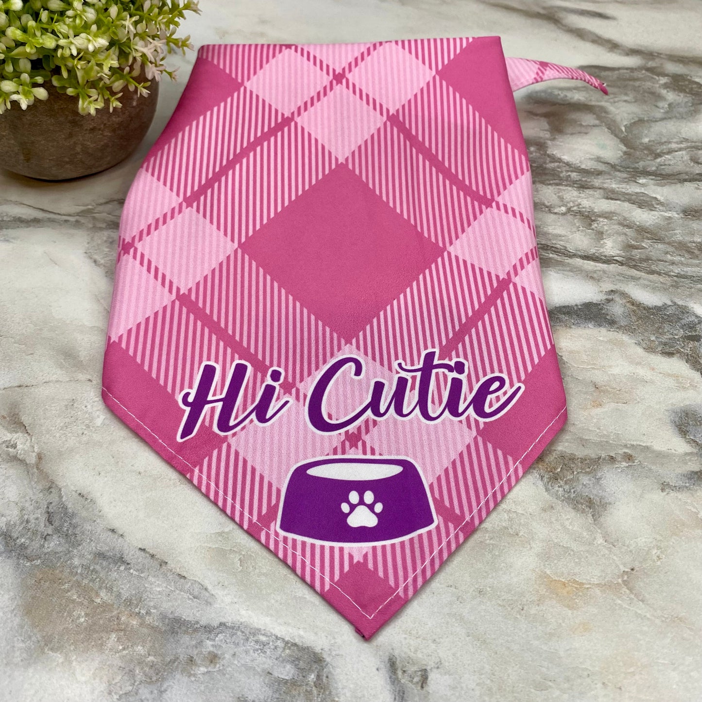 Dog Bandana - Sayings - Hi Cutie