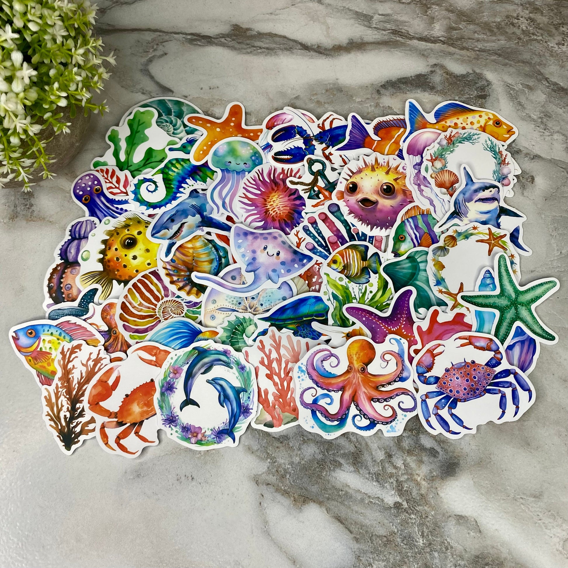 unique-id-b499f2f3-a27e-46b8-9356-29579886446b