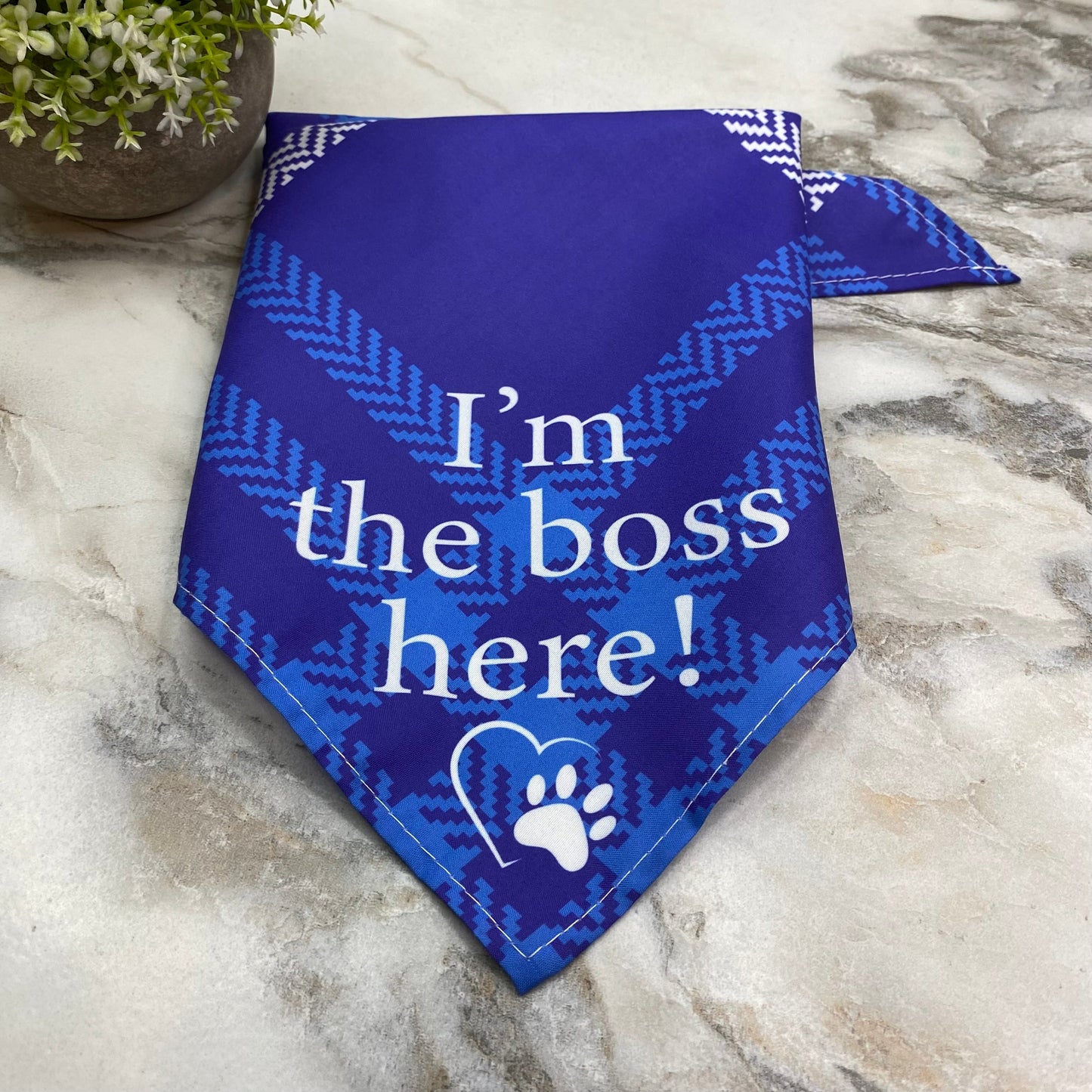 Dog Bandana - Plaid - I’m The Boss