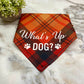 Dog Bandana - Plaid - What’s Up Dog