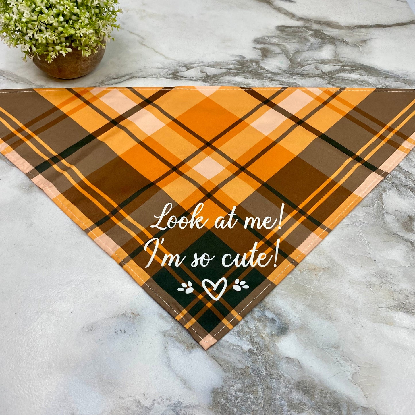 Dog Bandana - Sayings - I’m So Cute