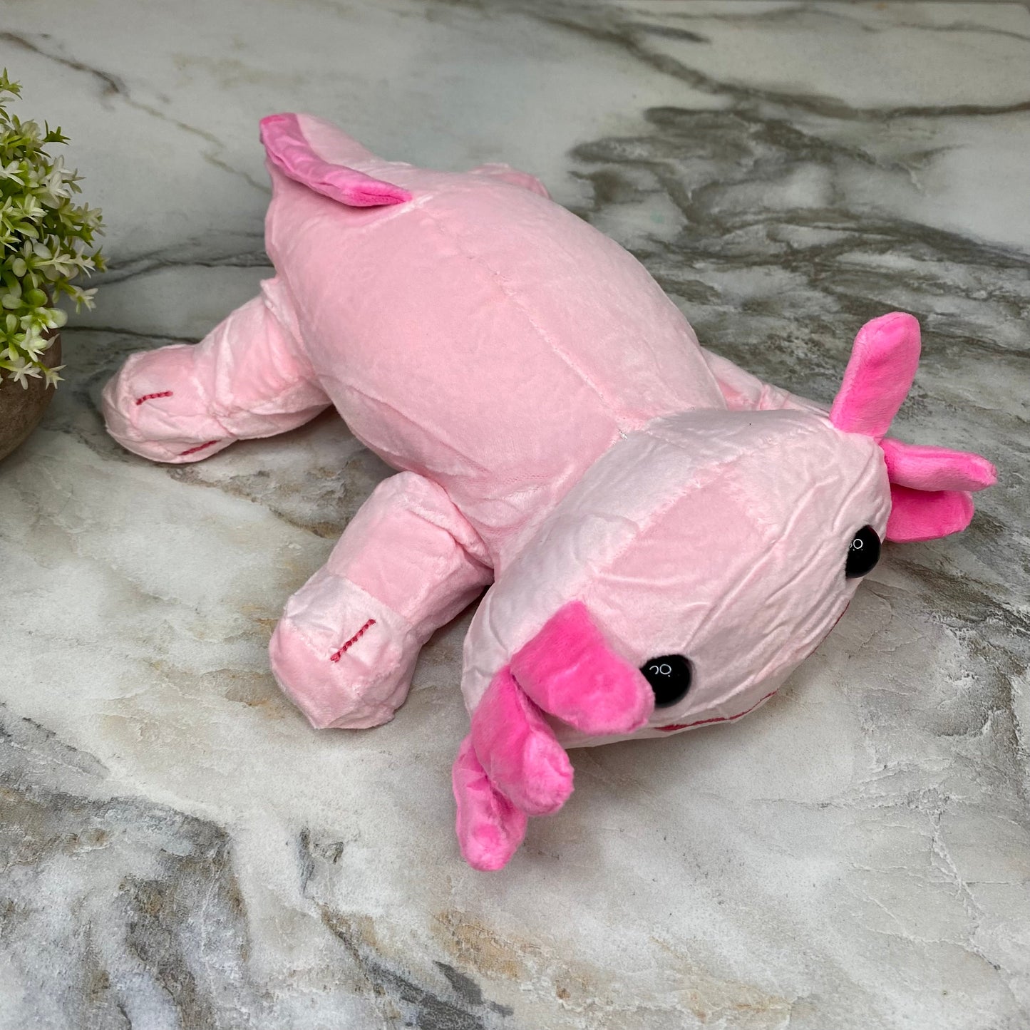 Plush Axolotl