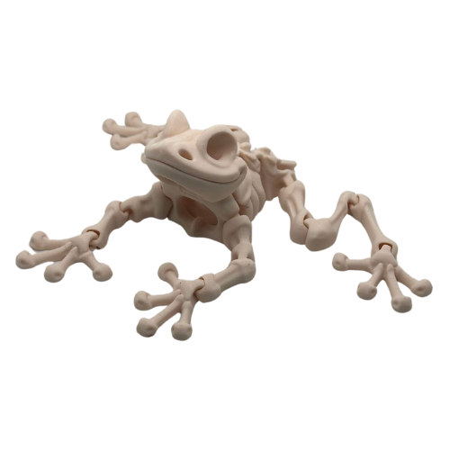 Articulated Frog Skeleton - 3D Printed