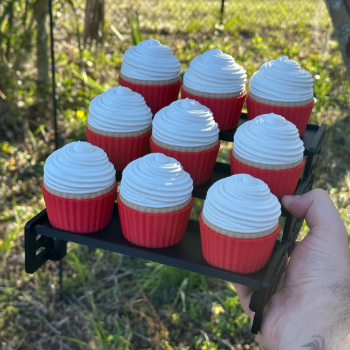 Medium Cupcake Container