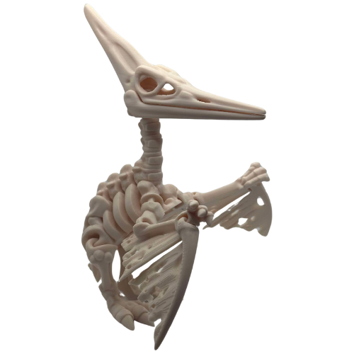 Articulated Petrie the Pteranodon - 3D Printed