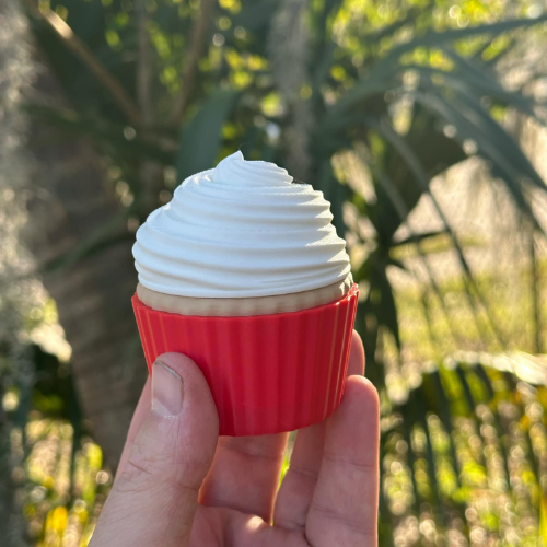 Medium Cupcake Container