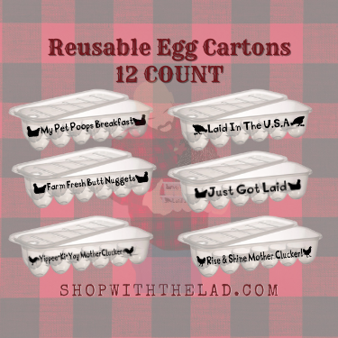 12 Count Plastic Reusable Chicken Egg Carton - Holds 12 Eggs